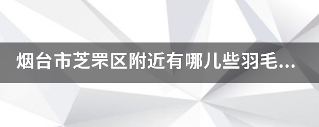 芝罘区篮球训练营地址